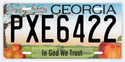 GA license plate PXE6422