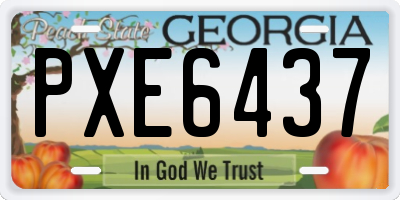 GA license plate PXE6437
