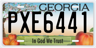 GA license plate PXE6441