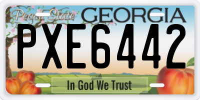 GA license plate PXE6442
