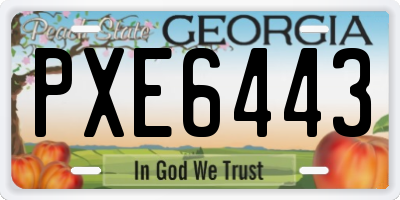 GA license plate PXE6443