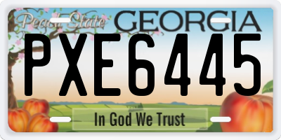 GA license plate PXE6445