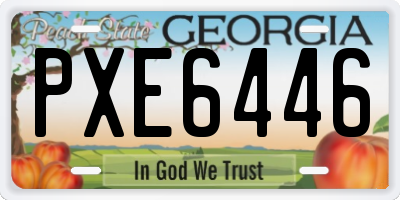 GA license plate PXE6446