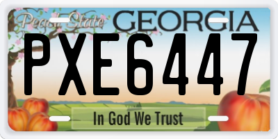 GA license plate PXE6447