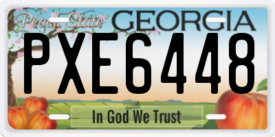 GA license plate PXE6448