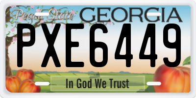 GA license plate PXE6449