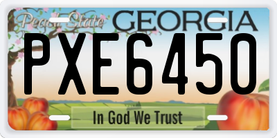 GA license plate PXE6450