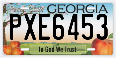 GA license plate PXE6453