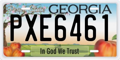 GA license plate PXE6461