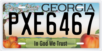 GA license plate PXE6467