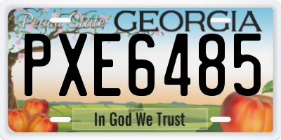GA license plate PXE6485