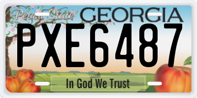 GA license plate PXE6487