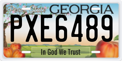 GA license plate PXE6489