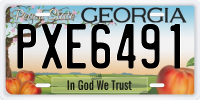 GA license plate PXE6491