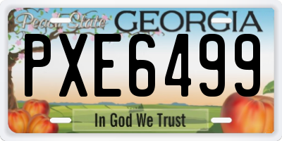GA license plate PXE6499