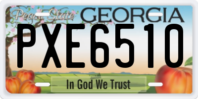 GA license plate PXE6510