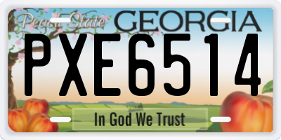GA license plate PXE6514
