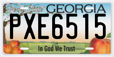 GA license plate PXE6515