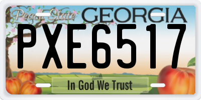 GA license plate PXE6517