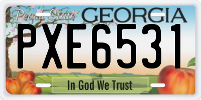 GA license plate PXE6531