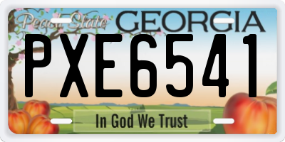 GA license plate PXE6541