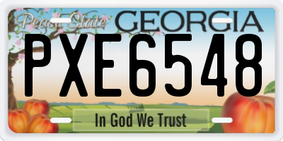 GA license plate PXE6548