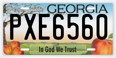 GA license plate PXE6560