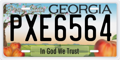 GA license plate PXE6564