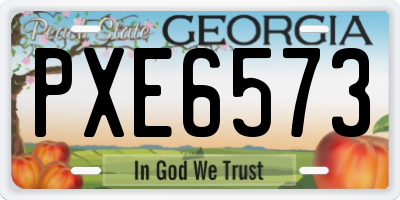 GA license plate PXE6573