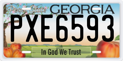 GA license plate PXE6593