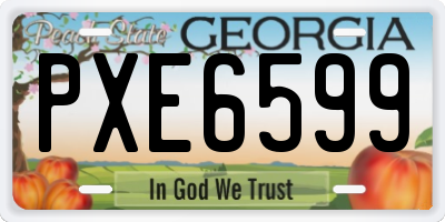 GA license plate PXE6599