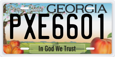 GA license plate PXE6601