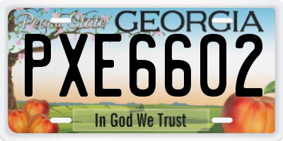 GA license plate PXE6602