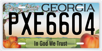 GA license plate PXE6604