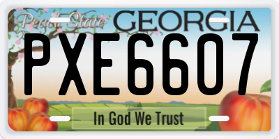GA license plate PXE6607