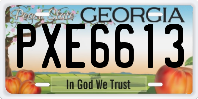 GA license plate PXE6613