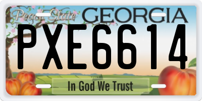 GA license plate PXE6614