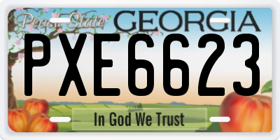 GA license plate PXE6623