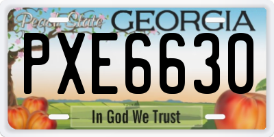 GA license plate PXE6630