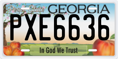 GA license plate PXE6636