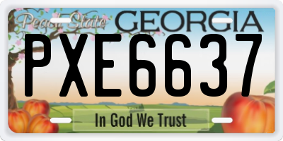 GA license plate PXE6637