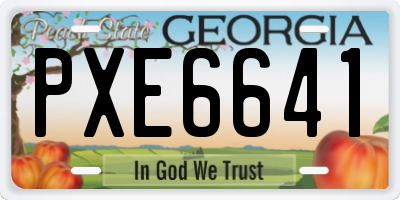 GA license plate PXE6641