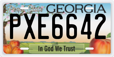 GA license plate PXE6642
