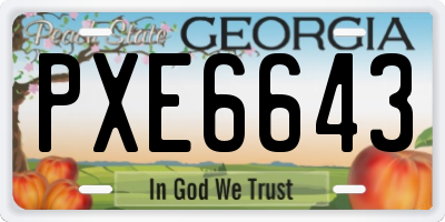 GA license plate PXE6643