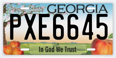 GA license plate PXE6645