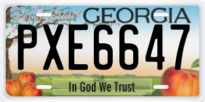 GA license plate PXE6647