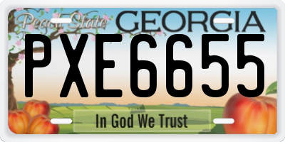 GA license plate PXE6655