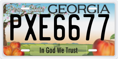 GA license plate PXE6677