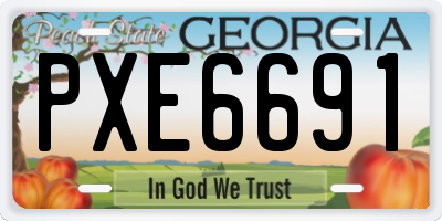 GA license plate PXE6691