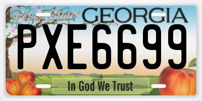 GA license plate PXE6699